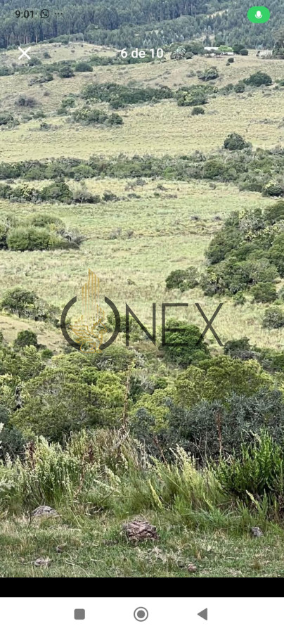 Campo Ref.2682 - Venta de Campo Rocha 130 Ha