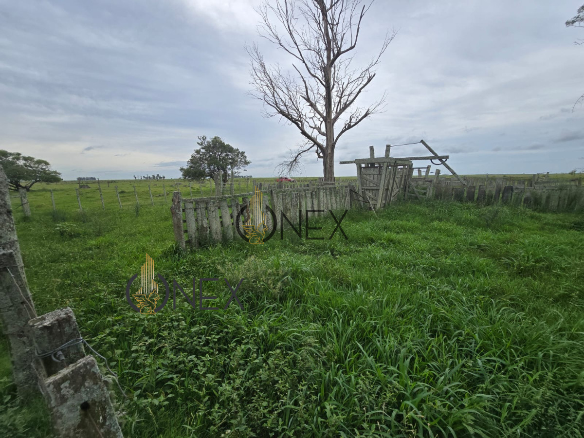 Campo Ref.1782 - Campo en Rural, 