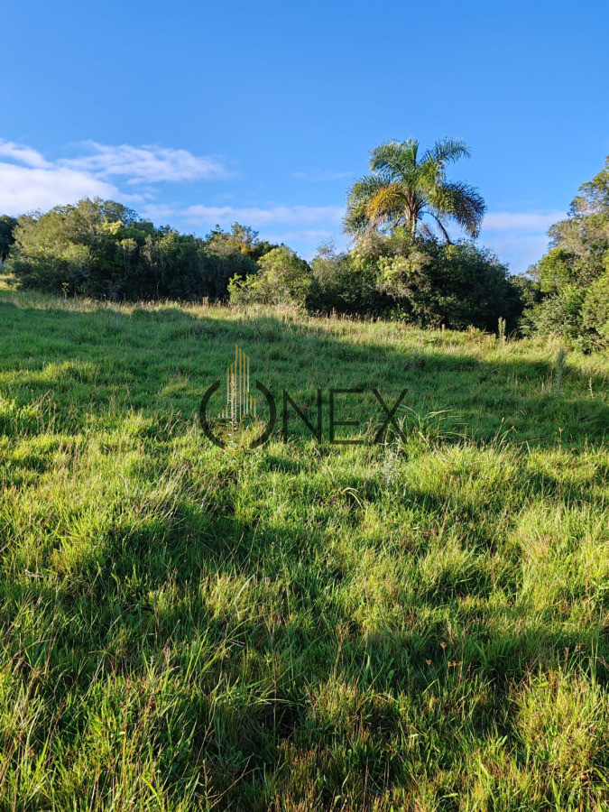 Campo Ref.3316 - Campo en Sierras de San Miguel Rocha 