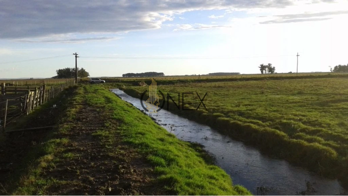 Campo Ref.2557 - Campo en Otra, 