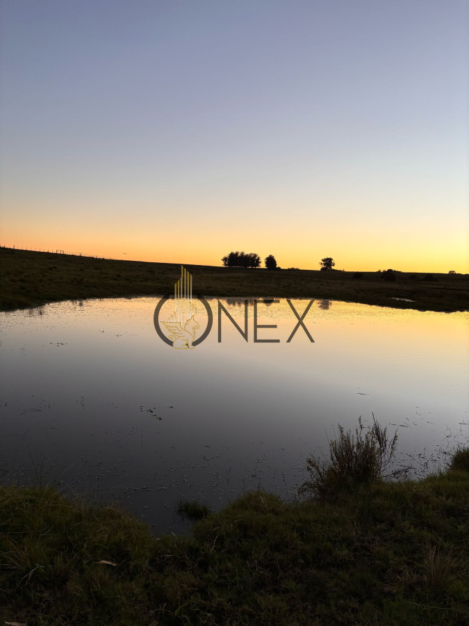 Campo Ref.2625 - Venta de Campo de 21 Ha en Jose Ignacio
