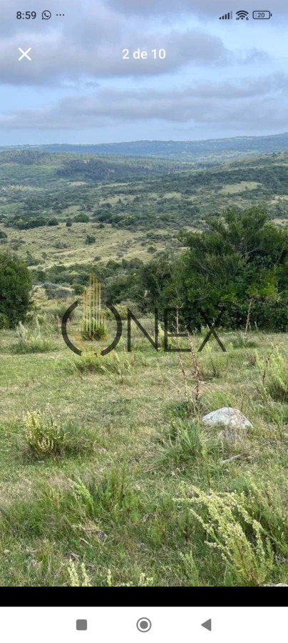 Campo Ref.2682 - Venta de Campo Rocha 130 Ha