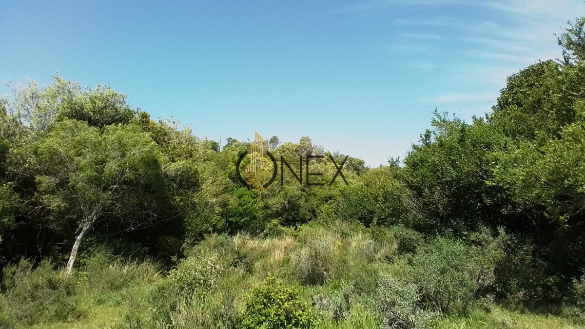 Campo Ref.3598 - Se vende excelente parcela de 6,85 has a 17 min de Jose Ignacio, sobre Ruta 9 km 155