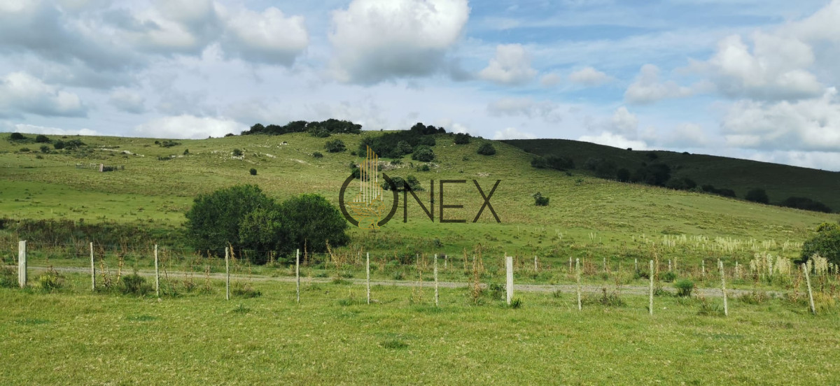 Campo Ref.2741 - Venta espectacular 