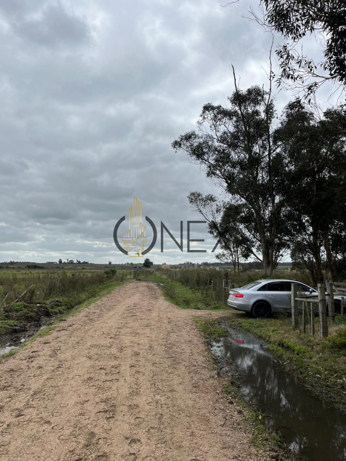 Campo Ref.1469 - CAMPO EN SAUCE, CANELONES. MUY BUEN ACCESO