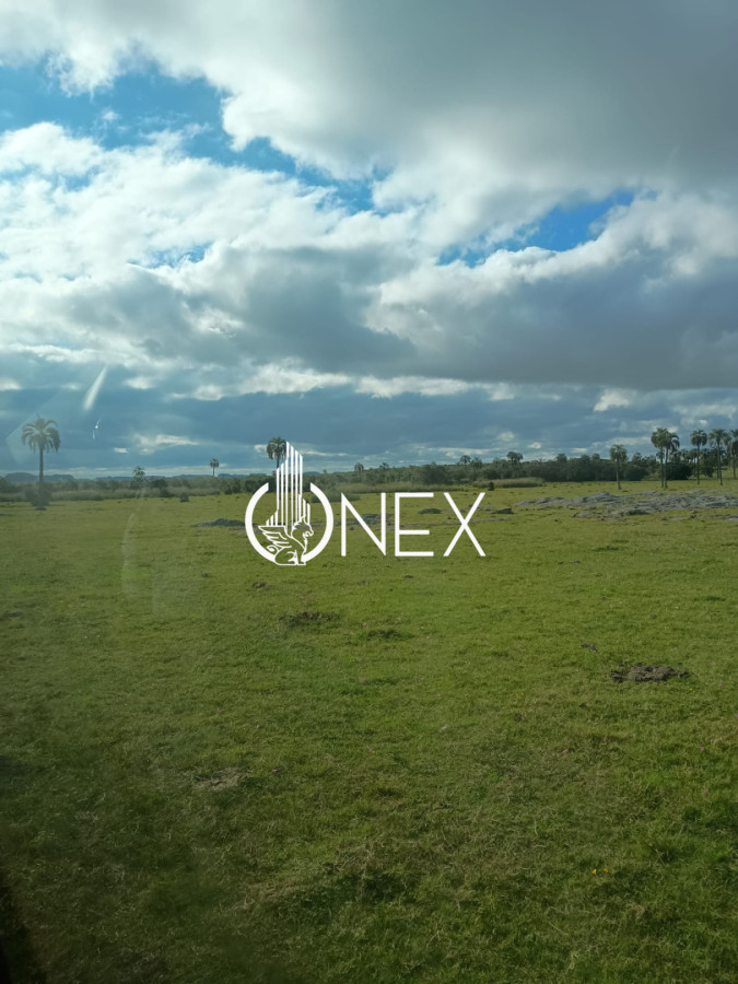 Campo Ref.4620 - Se vende en Corral de Palma 