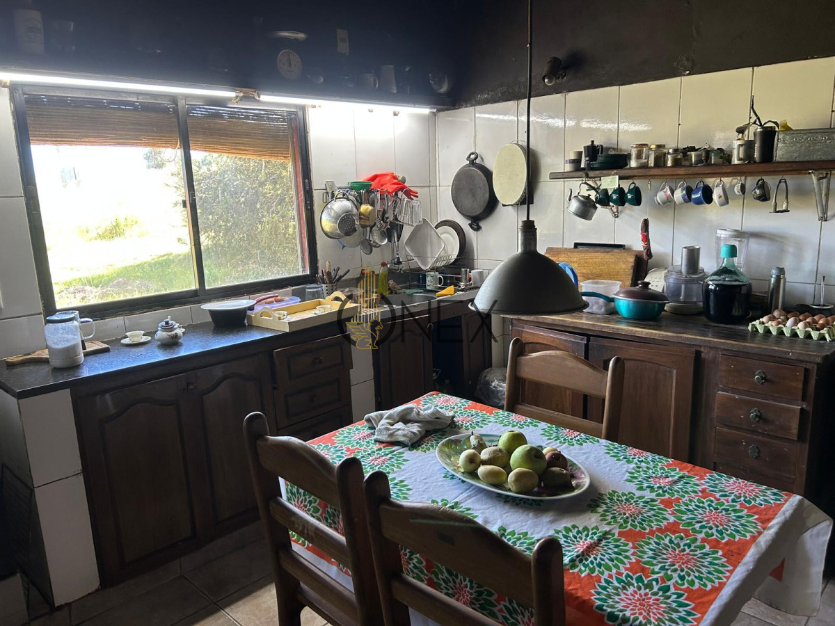 Campo Ref.1543 - Campo en venta de 41 ha en Empalme Olmos 