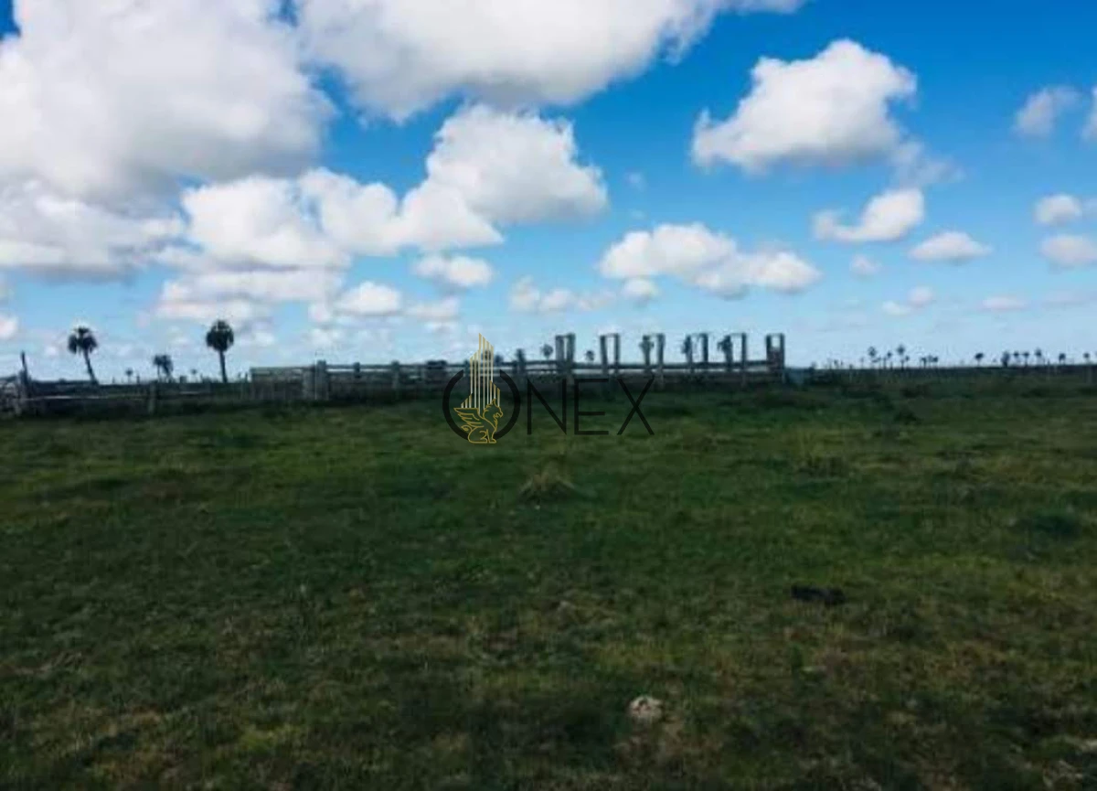 Campo Ref.2557 - Campo en Otra, 