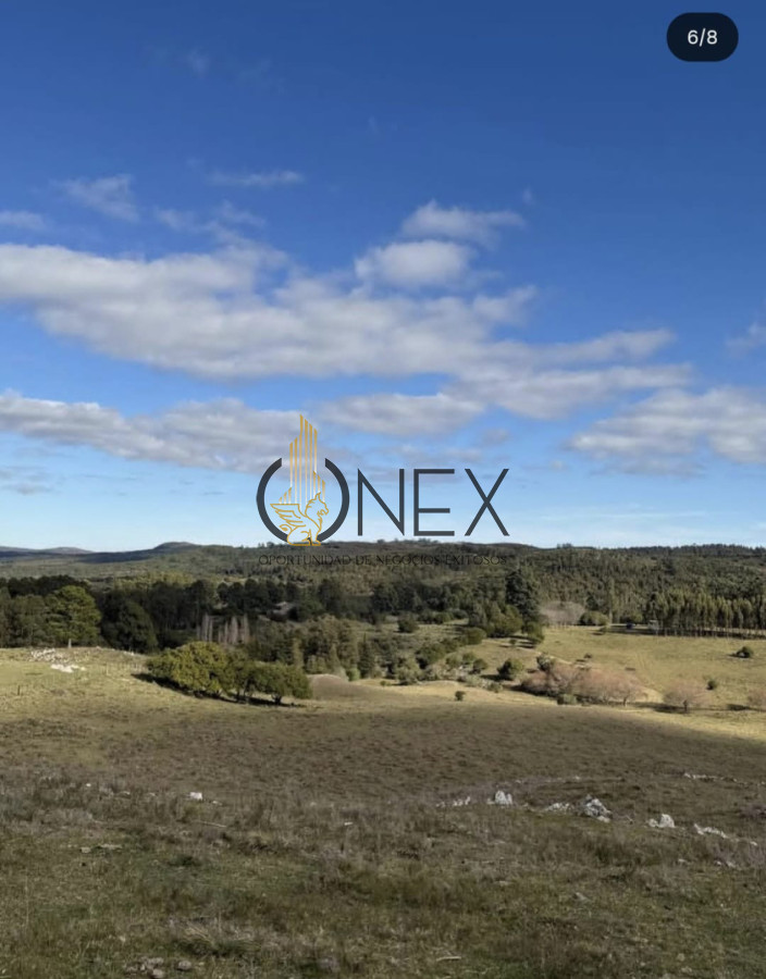 Campo Ref.3811 - Venta Campo de 26Ha con casa en Minas