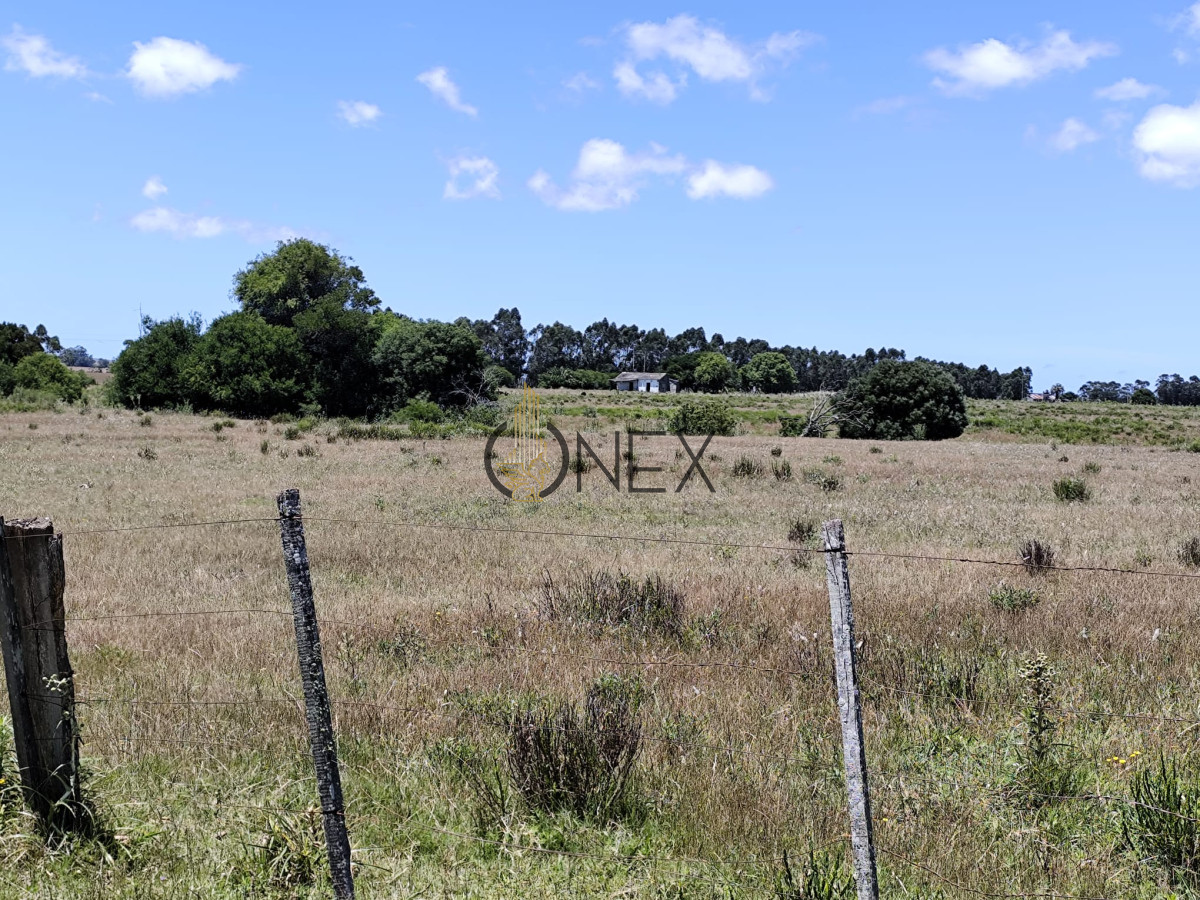 Campo Ref.2644 - Gran oportunidad Chacra en las cercanías de Rocha a 12 minutos de la ciudad