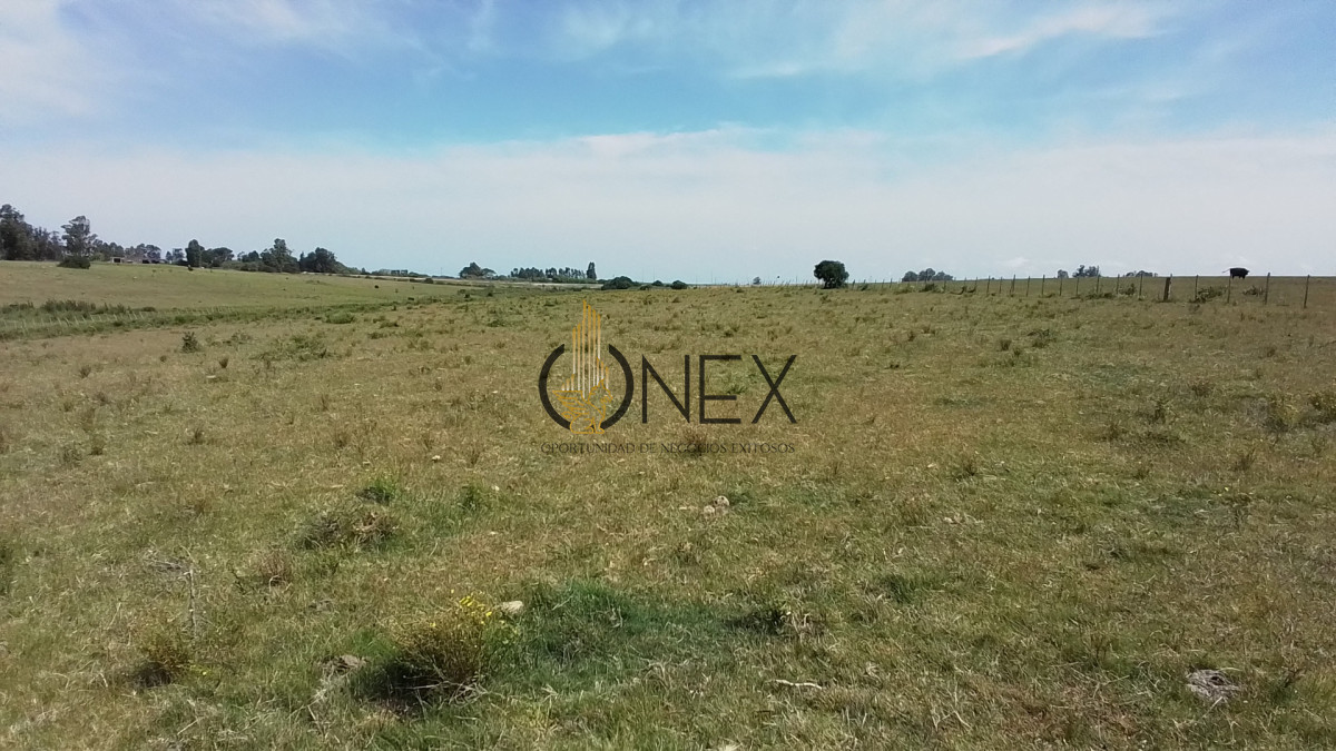 Campo Ref.3598 - Se vende excelente parcela de 6,85 has a 17 min de Jose Ignacio, sobre Ruta 9 km 155
