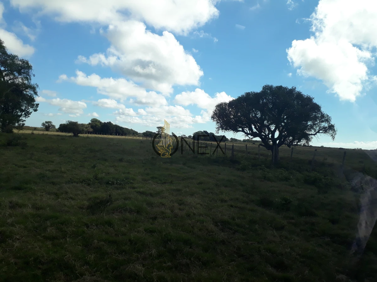 Campo Ref.2557 - Campo en Otra, 