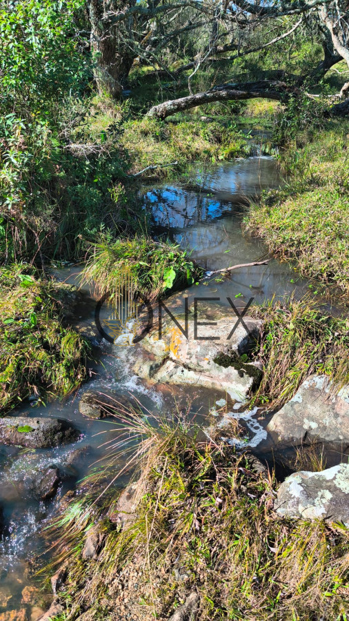 Campo Ref.2734 - Venta de campo de 22 Ha en Zanja de Chavez