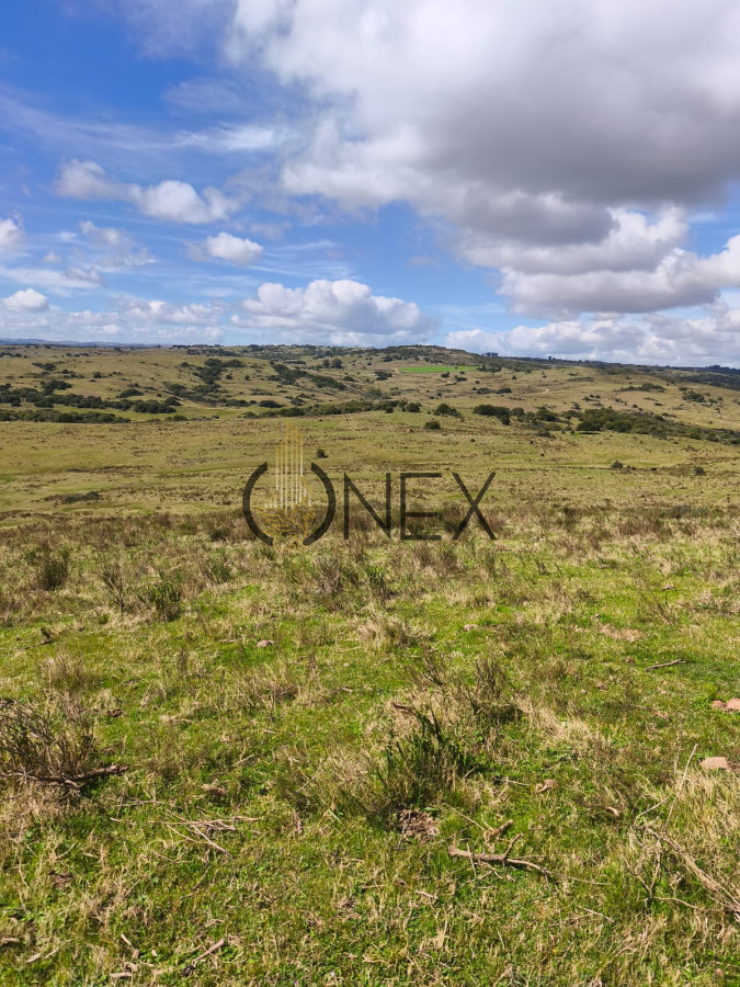 Campo Ref.3087 - Venta de Campo de 150Ha en Lavalleja