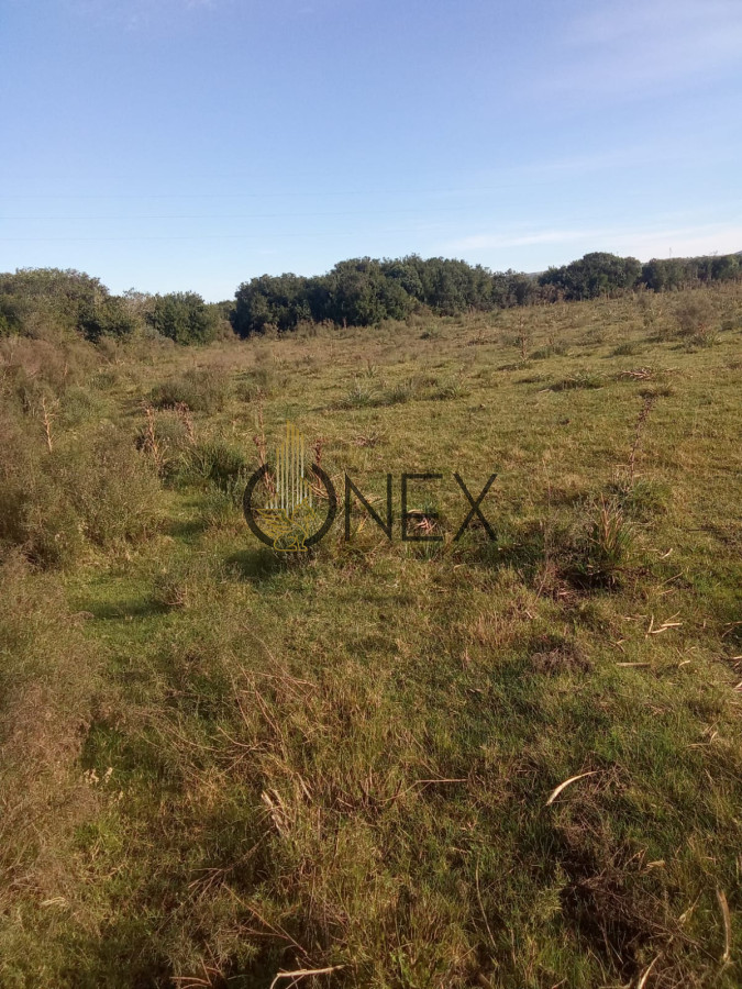 Campo Ref.2350 - venta de campo de 15Ha en Partido Norte con casa