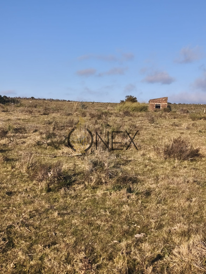 Campo Ref.3003 - Venta de Campo de 22 Has en Zona de las Cañas