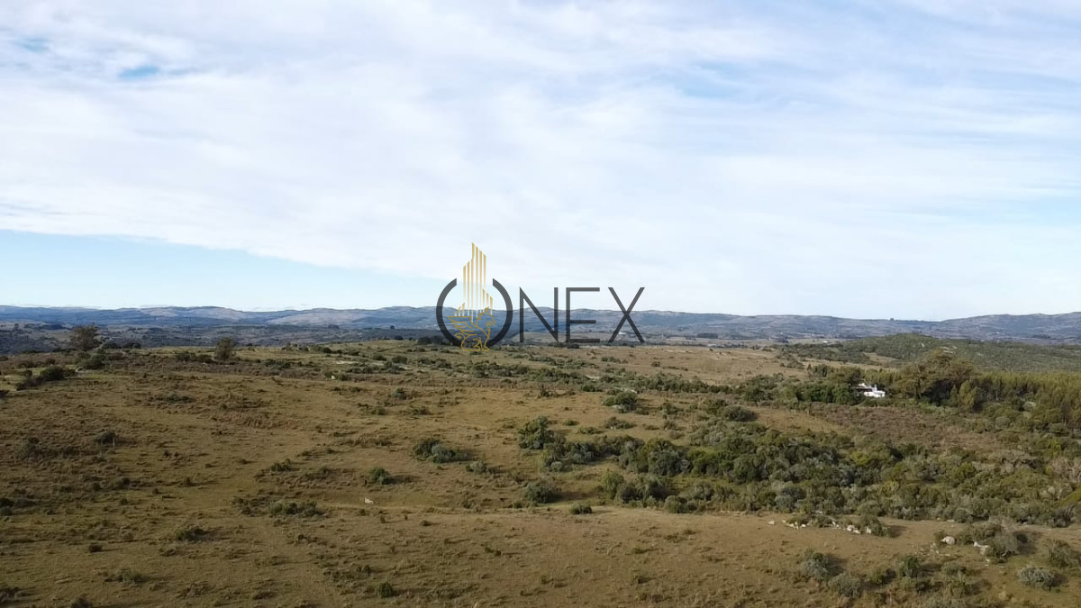 Campo Ref.2602 - Venta de Campo de 77 Ha en Las Cañas