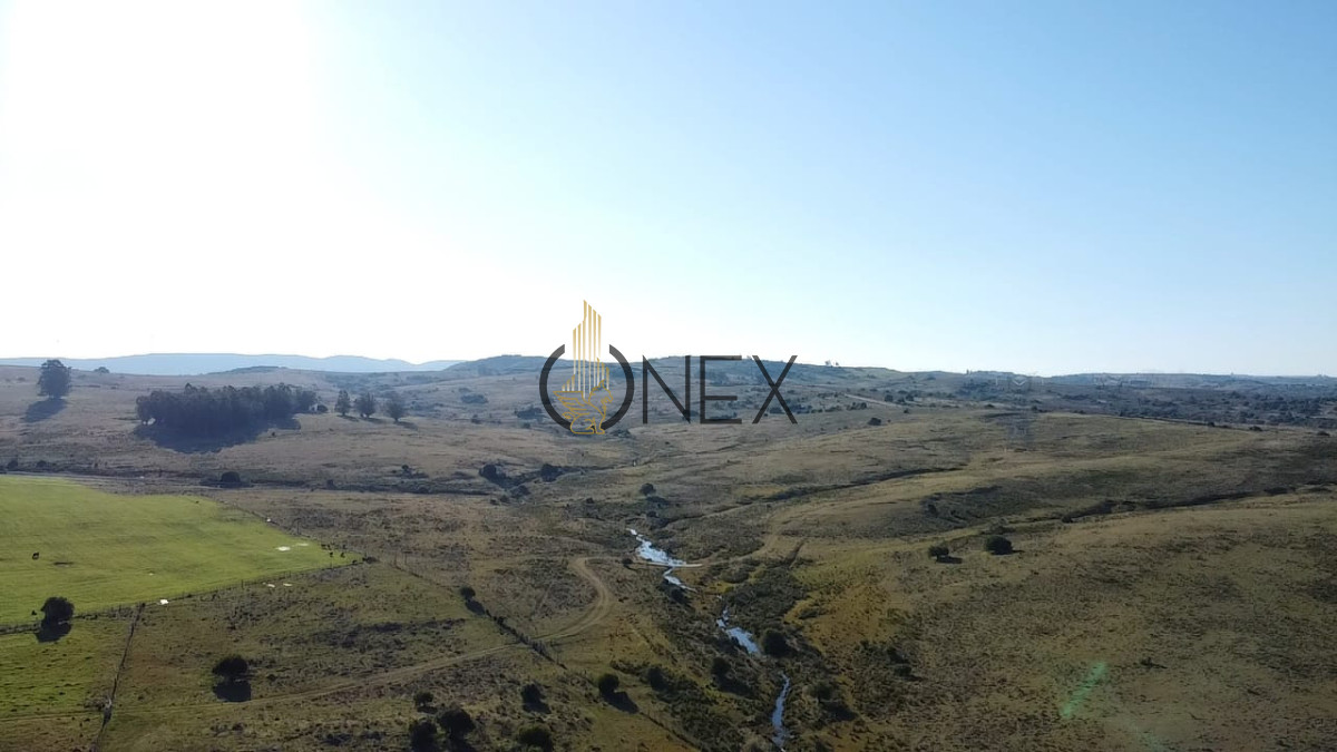 Campo Ref.2902 - Venta de campo de 103 Has en Las Cañas