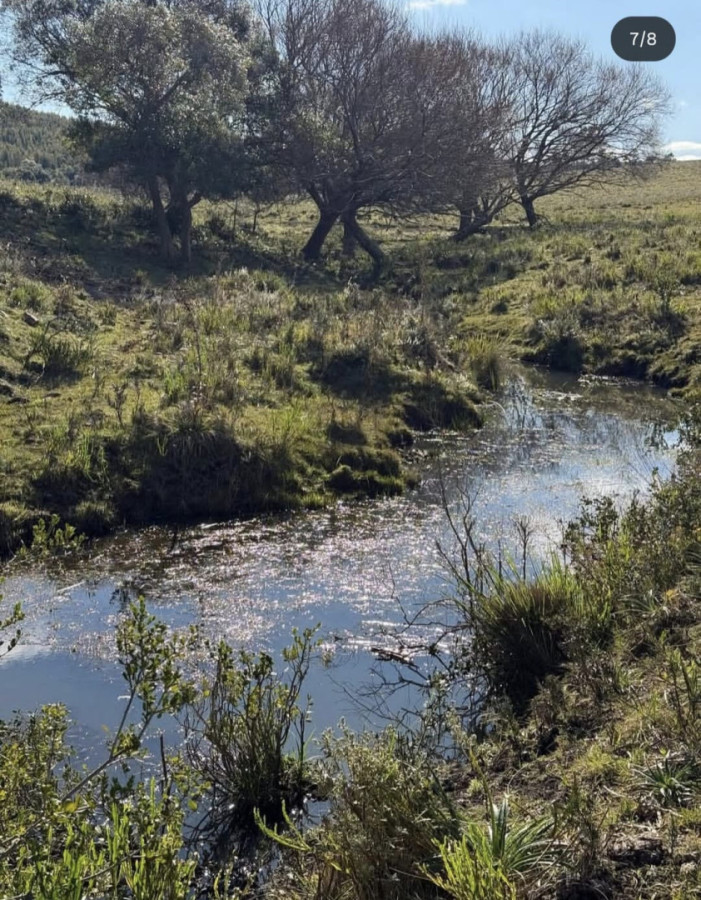 Imagen de Campo en venta de 26 hectáreas con casa en Minas.