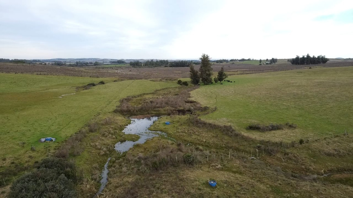 Venta de campo de 34 Has en Pan de Azucar