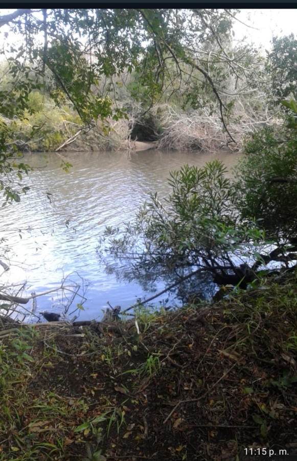 Imagen de Venta de campo de 22 Ha en Zanja de Chavez.