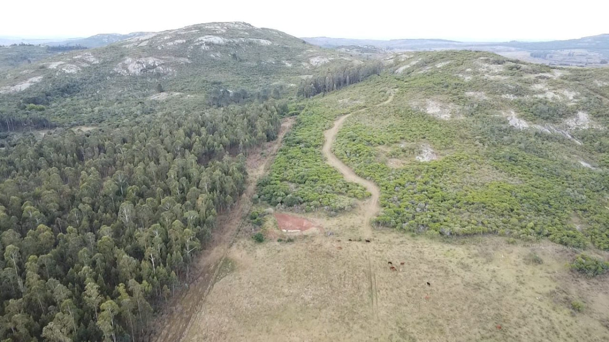 Imagen de Venta de Campo de 25 Ha ruta 60. Maldonado.