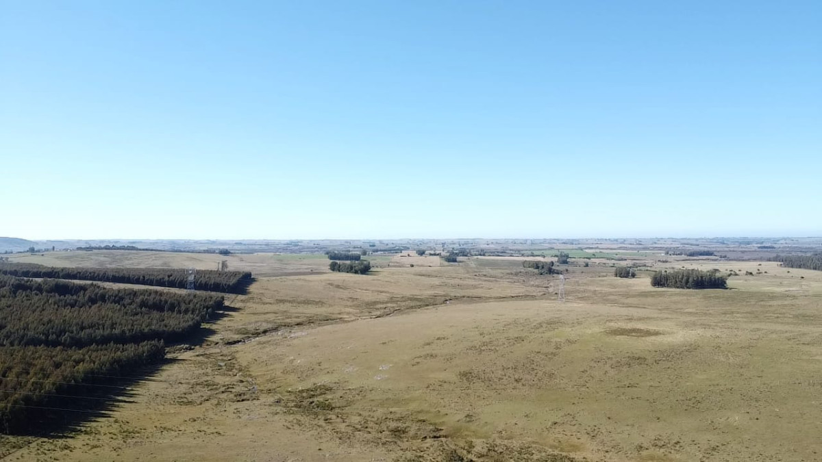 Venta de Campo de 103 Has Partido Norte