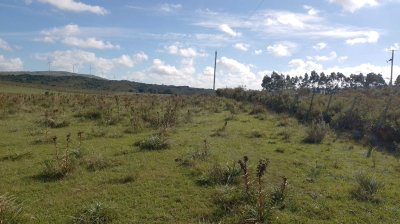 Venta de Chacras de 5 y 6 Ha en Caracoles