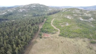 Venta de Campo de 25 Ha en 