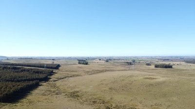 Venta de Campo de 103 Has Partido Norte