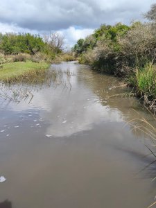 Venta de Campo de 150Ha en Lavalleja
