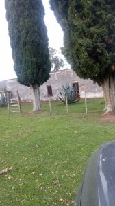 Venta de Campo 600Ha en Carape con casas