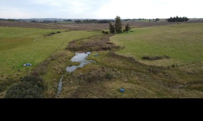 Venta de campo de 34 Has en Pan de Azucar