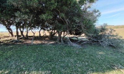 Venta de campo de 20 Ha en Paso del Tigre