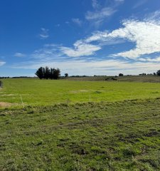 Venta de Campo de 21 Ha en Jose Ignacio