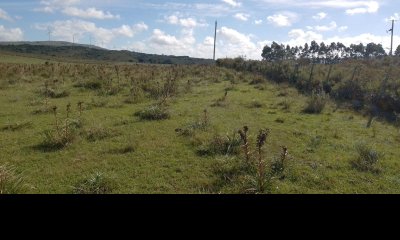 Venta de Chacras de 5 y 6 Ha en Caracoles