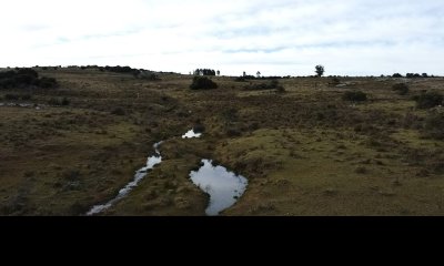 Venta de campo de 57 Has Zona las Cañas
