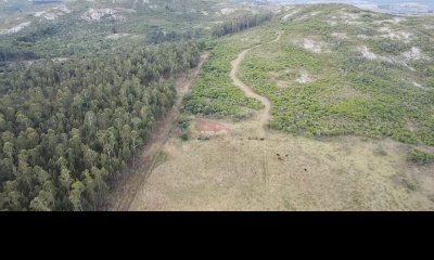 Venta de Campo de 25 Ha en