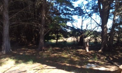 Onex Vende Campo en Piedras de Afilar ruta 8 y 9