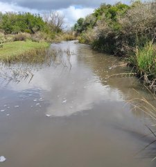 Venta de Campo de 150Ha en Lavalleja
