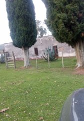 Venta de Campo 600Ha en Carape con casas