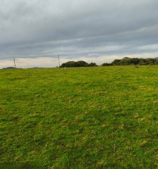 Venta de Campo de 20 Has en Pan de Azucar