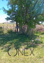 Campo en ,