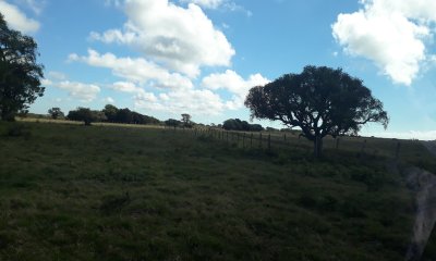 Campo en Otra,