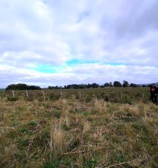 Campo en Zona Rural,