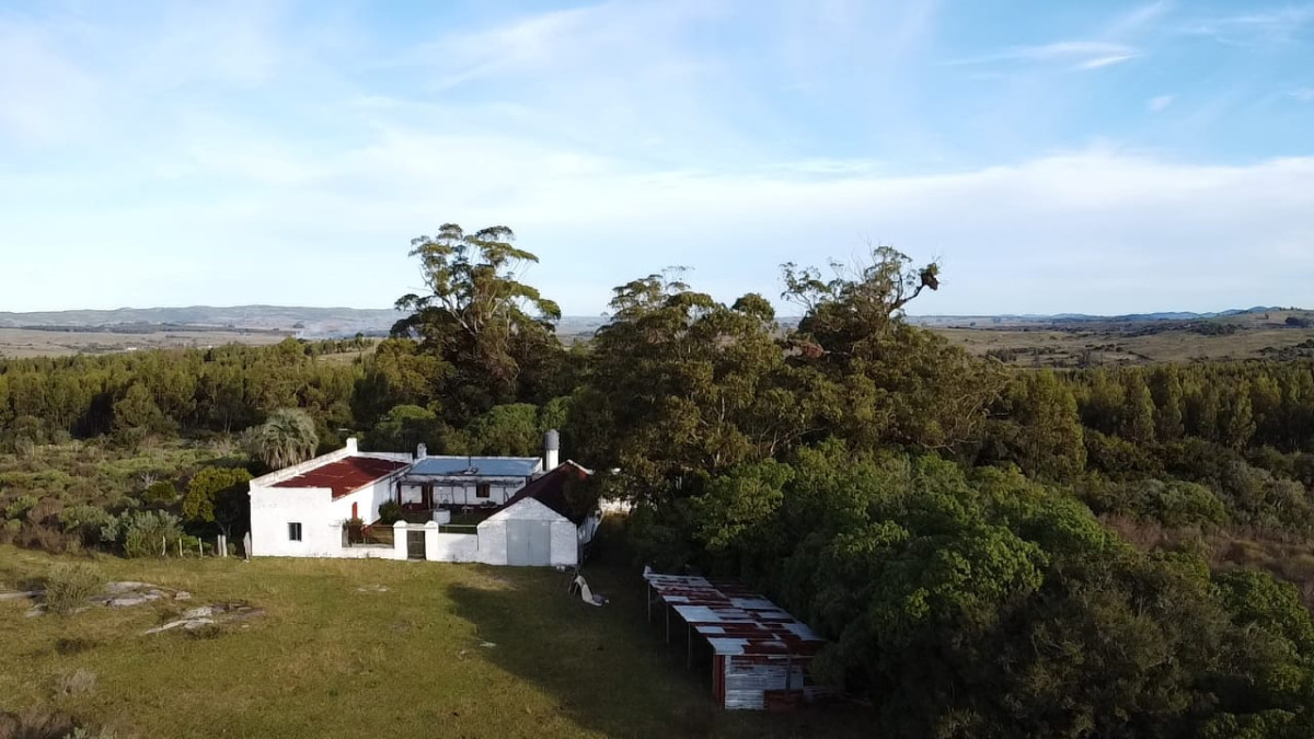 Venta de Campo de 77 Ha en Las Cañas