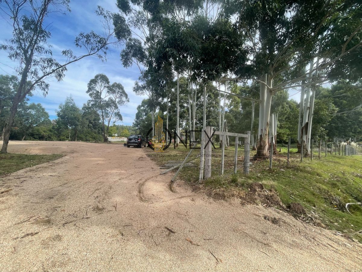 Terreno ID.2086 - Venta de lotes espectaculares en Jrdines Del Diario sobre Avenida Lusich 