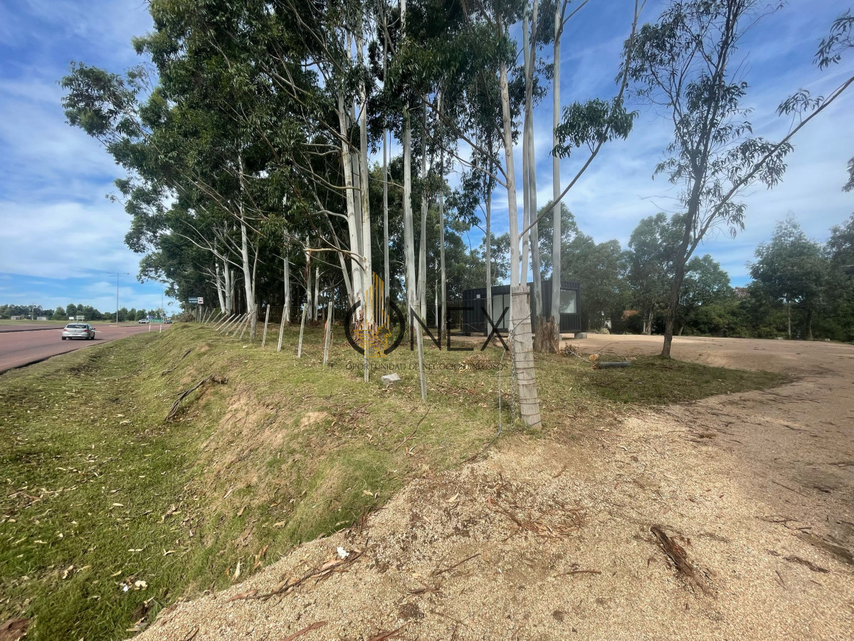 Terreno ID.2086 - Venta de lotes espectaculares en Jrdines Del Diario sobre Avenida Lusich 