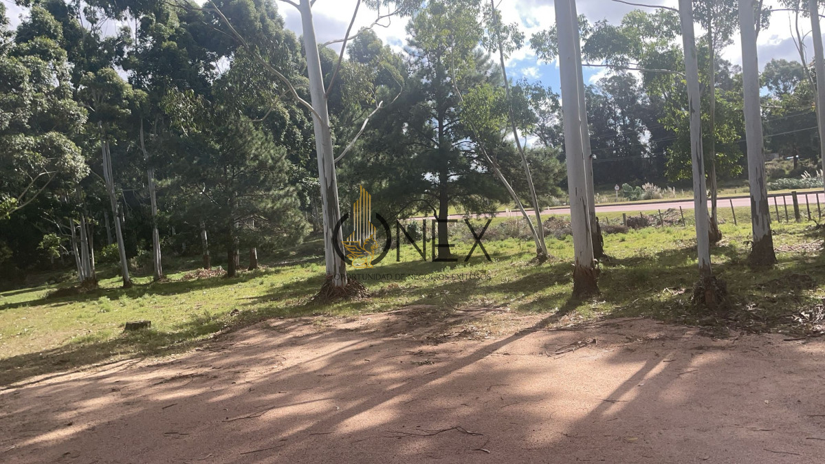 Terreno ID.2086 - Venta de lotes espectaculares en Jrdines Del Diario sobre Avenida Lusich 