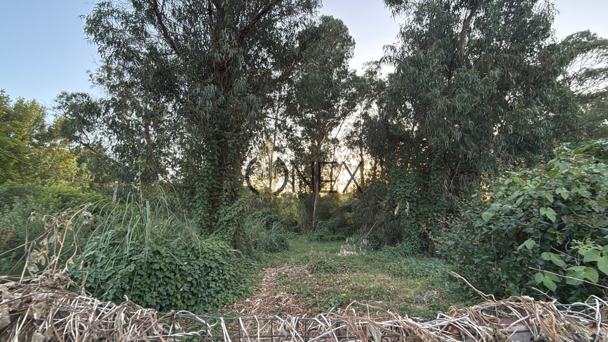 Terreno ID.1498 - Venta de terreno 